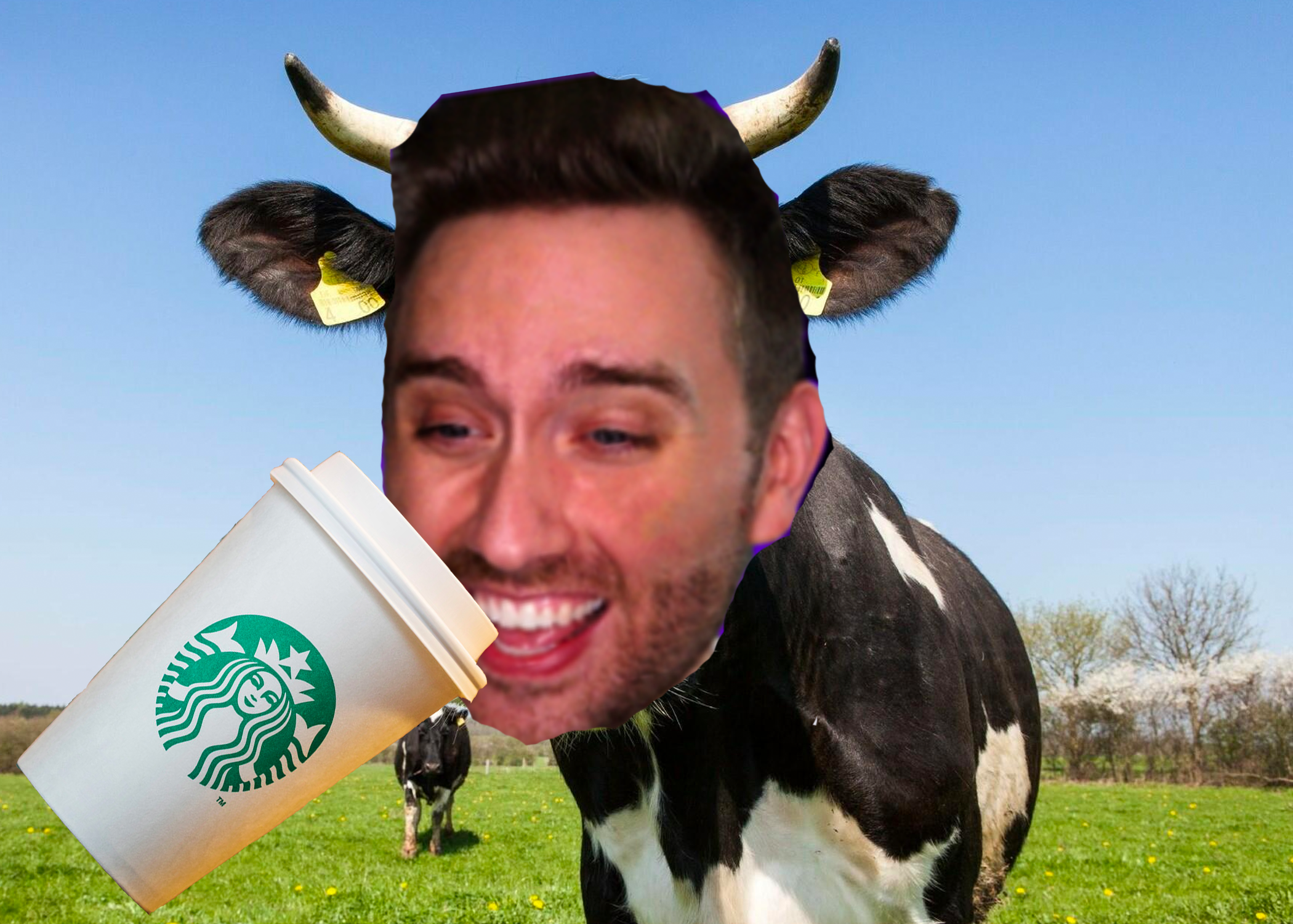 coffee cow